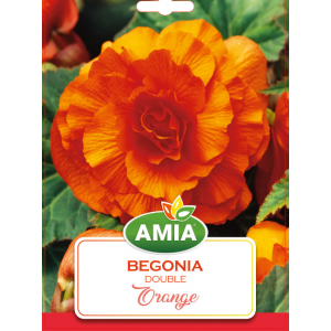 Bulbi Begonia Double Orange calibru 5/6, 2 bucati, AMIA